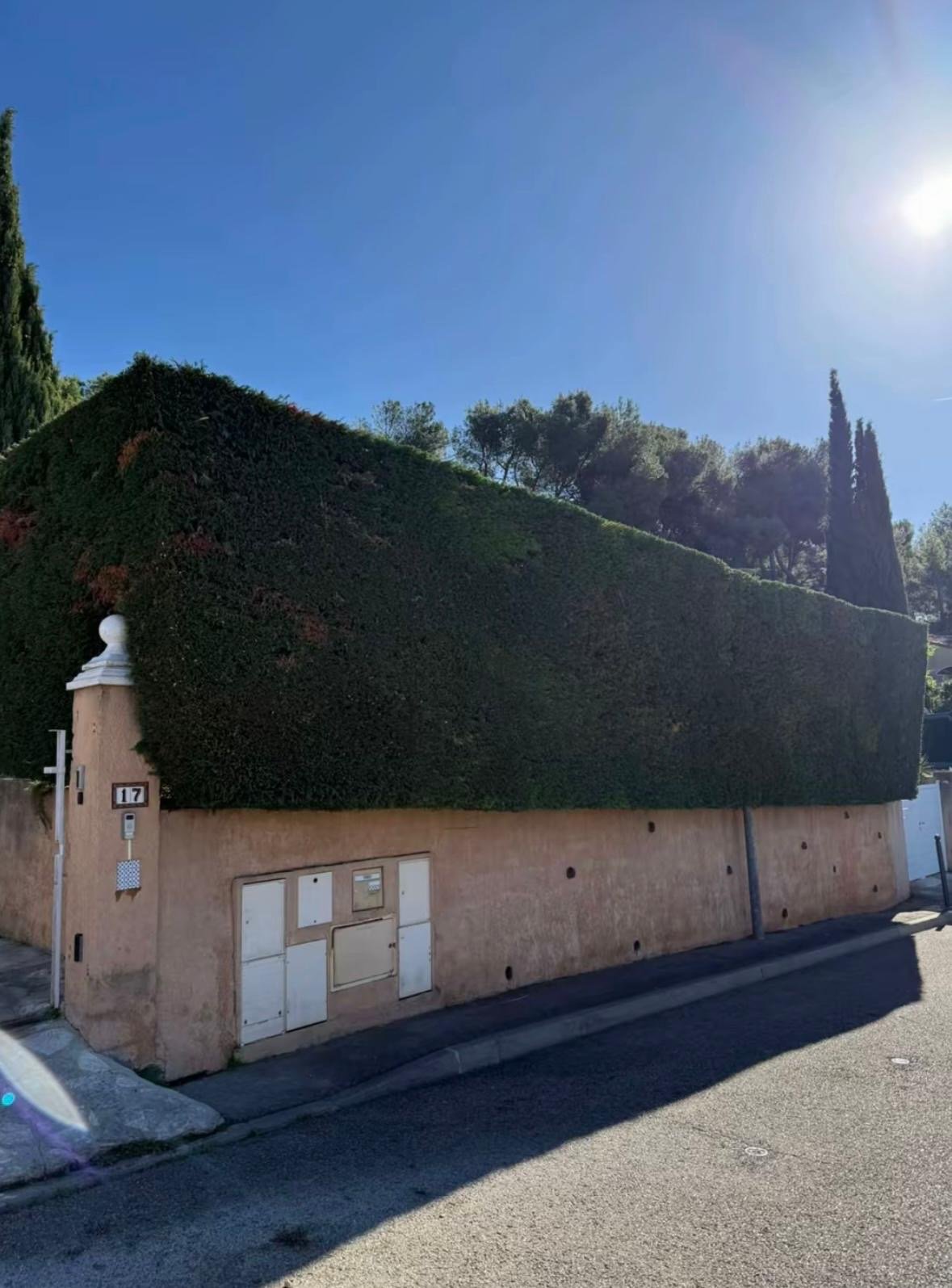 Pelouse parfaitement tondue